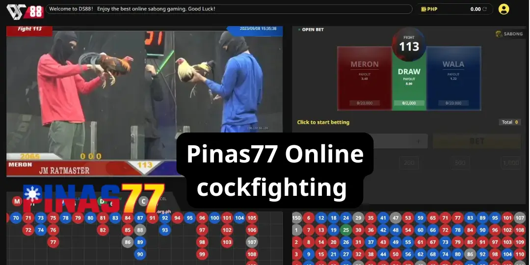 Sabong Online - Introduction to Play Online Cockfighting By Ds88 Sabong at Pinas77 1 Online cockfighting pinas77