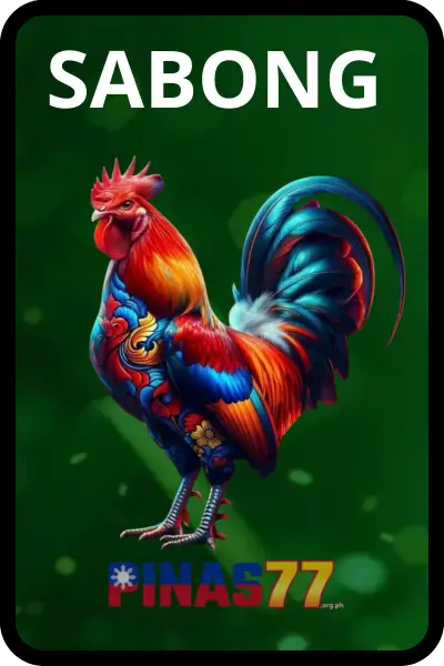 Sabong Online - Introduction to Play Online Cockfighting By Ds88 Sabong at Pinas77 2 SABONG